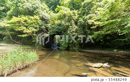 亀岩の洞窟 55488249