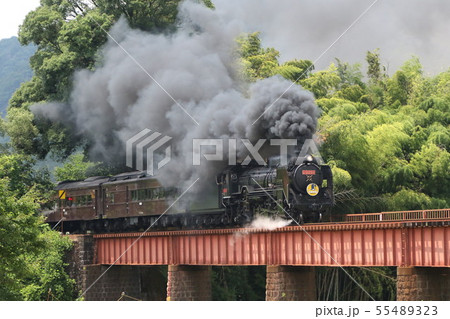 D51 SLやまぐち号　赤プレート 55489323