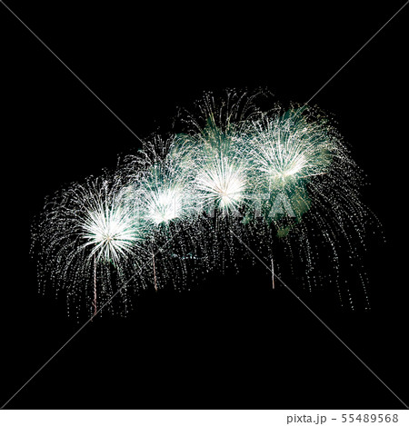 Fireworks on a night sky Fireworks on a night sky 55489568