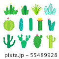 Vector set of cactuses and succulents 55489928