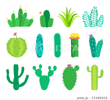 Vector set of cactuses and succulents 55489928