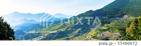 (パノラマ)丸山千枚田 (パノラマ)丸山千枚田 55490072