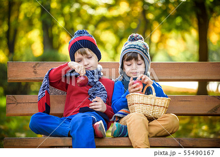 Child picking apples on a farm in autumn. Little Child picking apples on a farm in autumn. Little 55490167