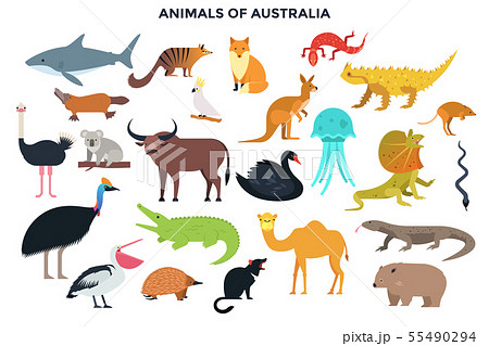 Modern Infographic Template Modern Infographic Template 55490294