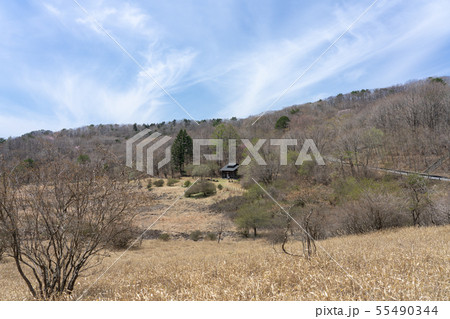 栃木県鹿沼市 古峰ヶ原高原 (5月) 栃木県鹿沼市 古峰ヶ原高原 (5月) 55490344