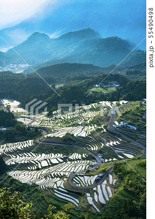 丸山千枚田 55490498