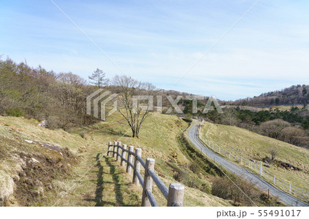栃木県鹿沼市　前日光牧場　横根高原　（5月） 55491017