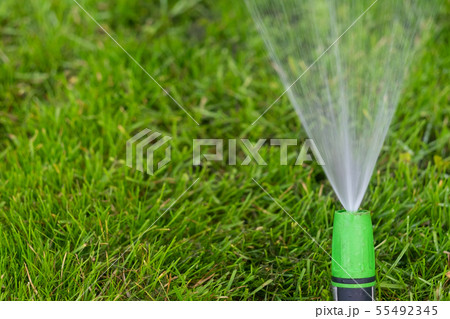Watering the green grass lawn with a sprayer Watering the green grass lawn with a sprayer 55492345