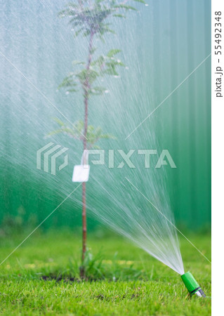 Watering the green grass lawn with a sprayer  55492348