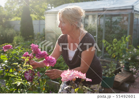 Excited mature caucasian female gardener   55492601
