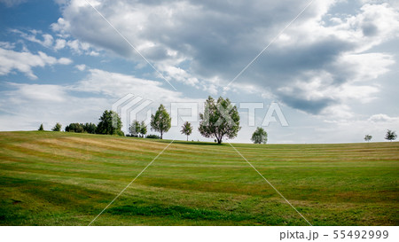 golf field with trees and lawn in Czech golf field with trees and lawn in Czech 55492999