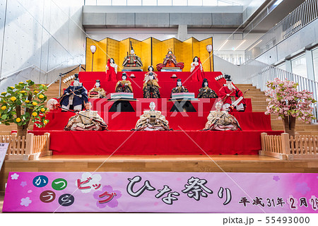 かつうらビッグひな祭り （千葉県勝浦市 芸術文化交流センター） 2019年2月 55493000