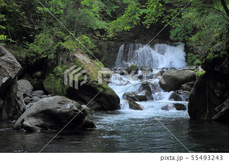 番所小滝　乗鞍高原 55493243