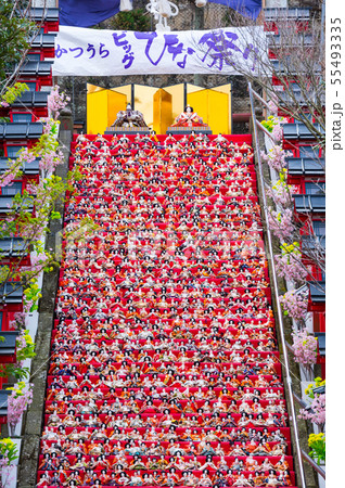 かつうらビッグひな祭り (千葉県勝浦市 遠見岬神社) 2019年2月 かつうらビッグひな祭り (千葉県勝浦市 遠見岬神社) 2019年2月 55493335