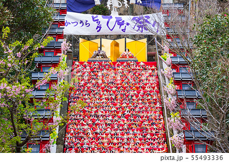 かつうらビッグひな祭り (千葉県勝浦市 遠見岬神社) 2019年2月 かつうらビッグひな祭り (千葉県勝浦市 遠見岬神社) 2019年2月 55493336