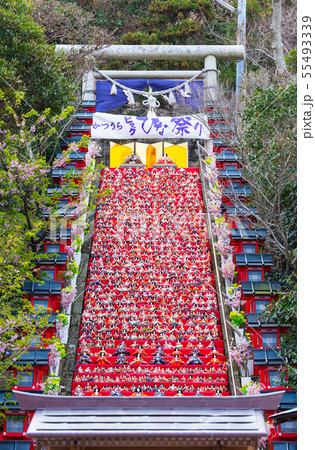 かつうらビッグひな祭り (千葉県勝浦市 遠見岬神社) 2019年2月 かつうらビッグひな祭り (千葉県勝浦市 遠見岬神社) 2019年2月 55493339