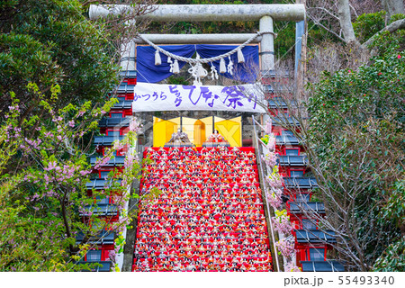 かつうらビッグひな祭り (千葉県勝浦市 遠見岬神社) 2019年2月 かつうらビッグひな祭り (千葉県勝浦市 遠見岬神社) 2019年2月 55493340