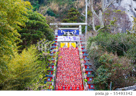 かつうらビッグひな祭り （千葉県勝浦市 遠見岬神社） 2019年2月 55493342