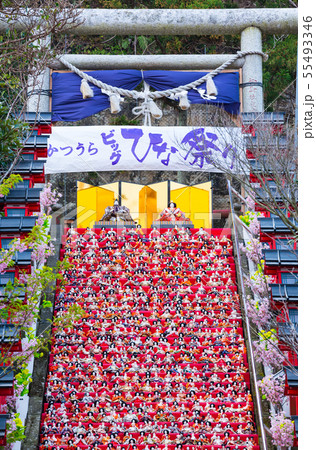 かつうらビッグひな祭り (千葉県勝浦市 遠見岬神社) 2019年2月 かつうらビッグひな祭り (千葉県勝浦市 遠見岬神社) 2019年2月 55493346
