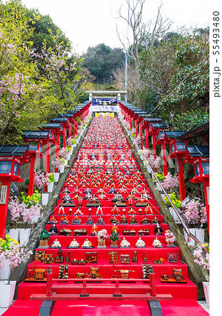 かつうらビッグひな祭り （千葉県勝浦市 遠見岬神社） 2019年2月 55493480