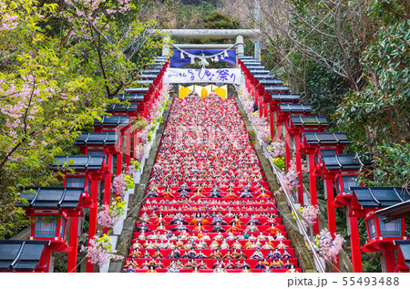 かつうらビッグひな祭り (千葉県勝浦市 遠見岬神社) 2019年2月 かつうらビッグひな祭り (千葉県勝浦市 遠見岬神社) 2019年2月 55493488