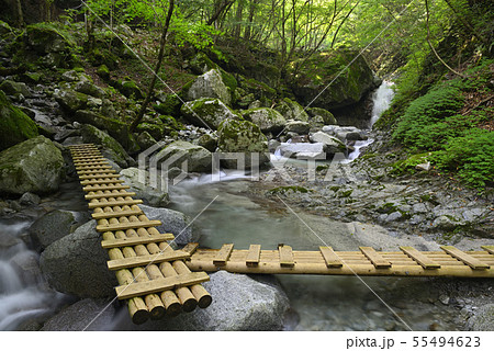 畦ヶ丸西沢登山道 【神奈川県丹沢山地】 西丹沢中川川西沢 【夏】 55494623