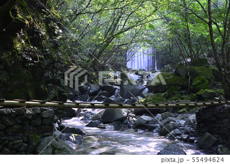 畦ヶ丸西沢登山道 【神奈川県丹沢山地】 西丹沢中川川西沢 【夏】 55494624