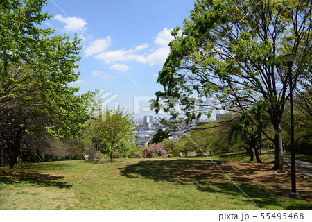 横浜市港北区　日吉公園 55495468