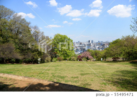横浜市港北区　日吉公園 55495471