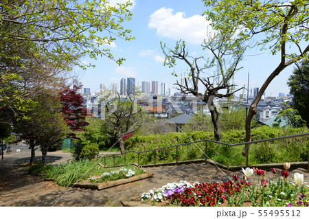 横浜市港北区　日吉公園 55495512