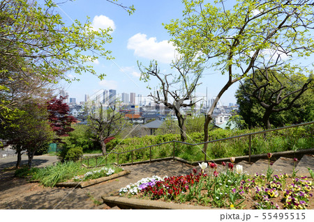 横浜市港北区 日吉公園 横浜市港北区 日吉公園 55495515