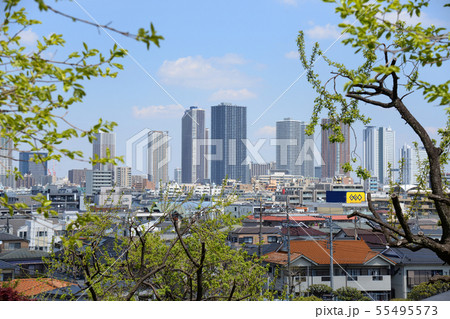 横浜市港北区 日吉公園 高台から見た武蔵小杉 横浜市港北区 日吉公園 高台から見た武蔵小杉 55495573