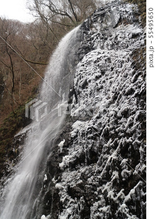 凍った白猪の滝 55495650