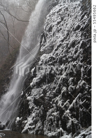 凍った白猪の滝 55495662