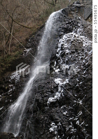 冬の白猪の滝 55495675