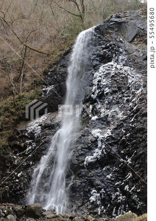 冬の白猪の滝 冬の白猪の滝 55495680