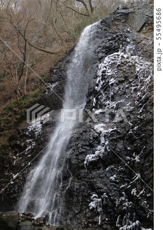 冬の白猪の滝 55495686