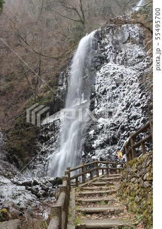 凍った白猪の滝 55495700