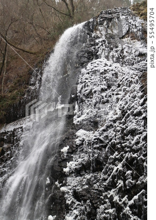 凍った白猪の滝 凍った白猪の滝 55495704