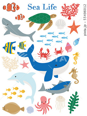 Sea Life 海の生き物イラスト セットのイラスト素材 55496012 Pixta