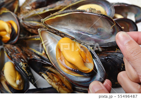 Steamed mussel Steamed mussel 55496487