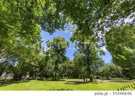 新宿区 戸山公園の風景 55496646