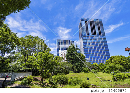 戸山公園の緑とオフィスビルディングの風景 戸山公園の緑とオフィスビルディングの風景 55496672