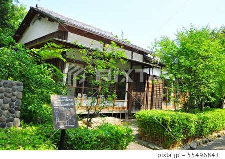 小田原の町並み　尾崎一雄邸書斎 55496843