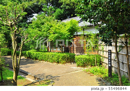 小田原の町並み　小田原文学館散策路と尾崎一雄邸書斎 55496844