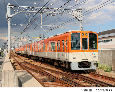 阪神電車　8000系 55497033