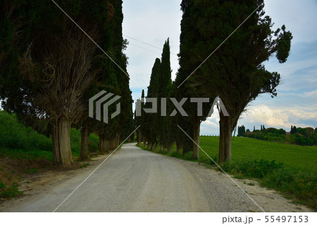 爽快 爽やか リフレッシュ 55497153