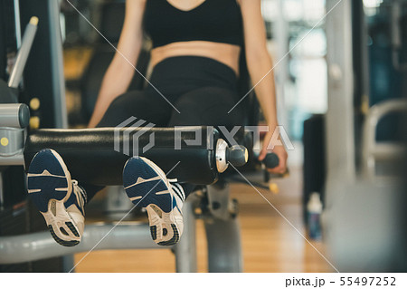 gym gym 55497252