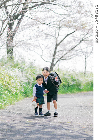 兄弟 桜 入学 入園 兄弟 桜 入学 入園 55498131
