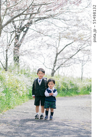 兄弟 桜 入学 入園 兄弟 桜 入学 入園 55498132